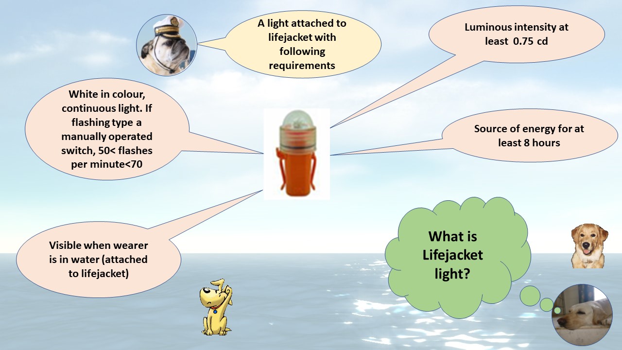 Lifejacket Light – Captain Damley